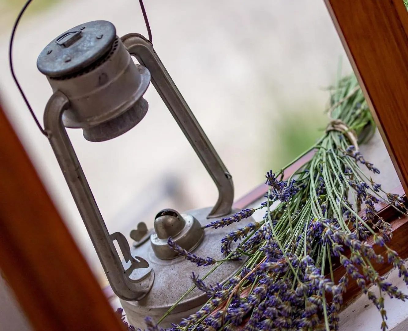 Holiday home House Pavincic Villa Lovran